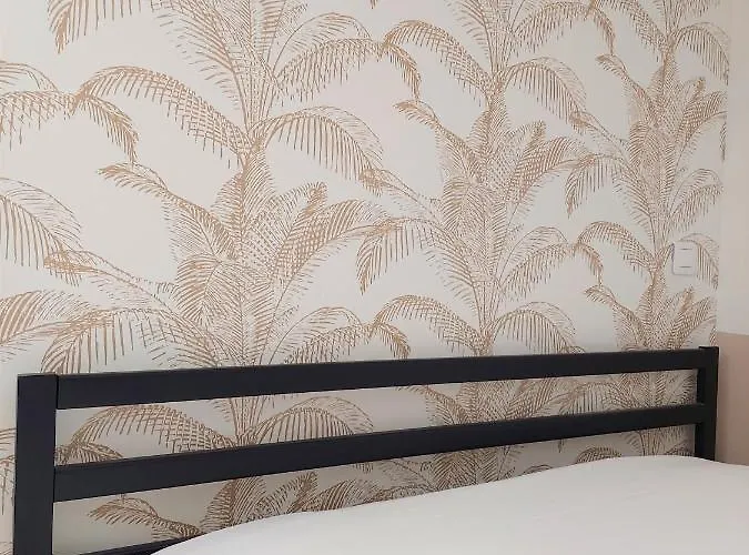 ° 1 - Centre ° 公寓 吕内维尔